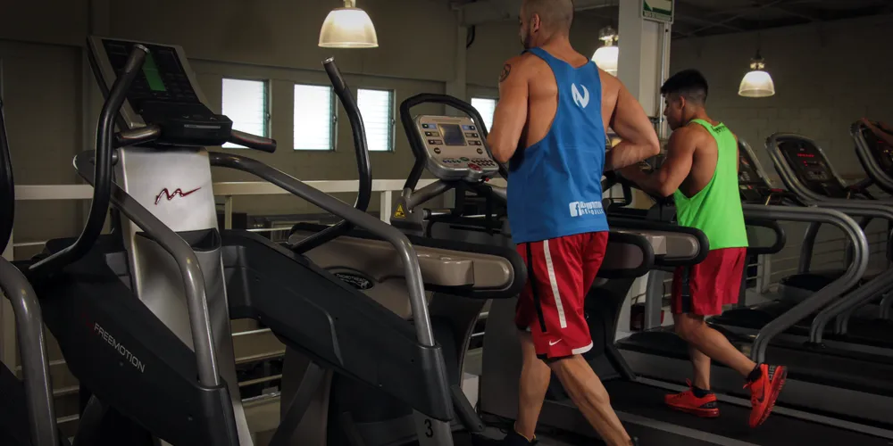Members running side by side on treadmills during a cardio session